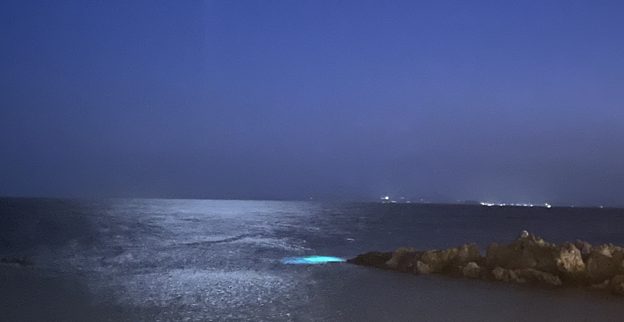 New Mix Alert: Raven DnB posts a new mix